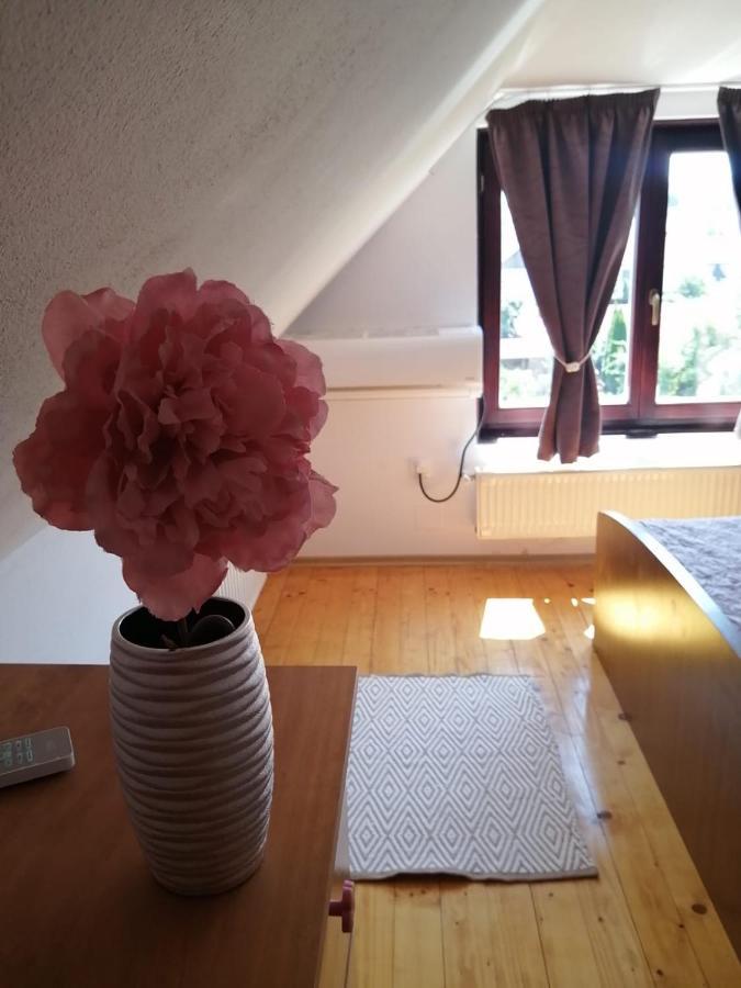 Lotus Apartman Appartement Odorheiu Secuiesc Buitenkant foto